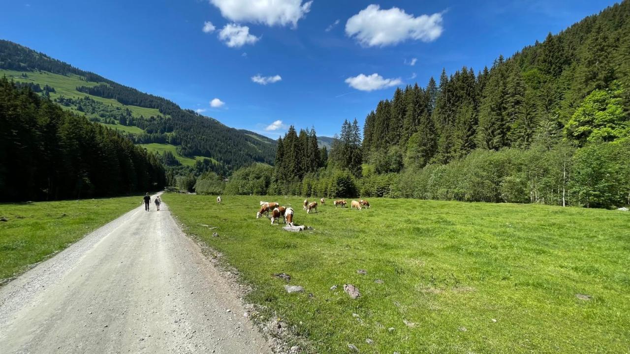 Haizelrock Kirchberg in Tirol Exteriör bild