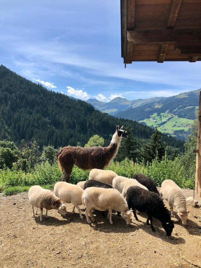 Haizelrock Kirchberg in Tirol Exteriör bild