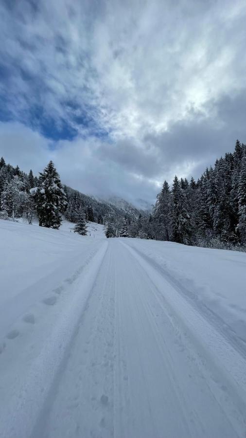 Haizelrock Kirchberg in Tirol Exteriör bild