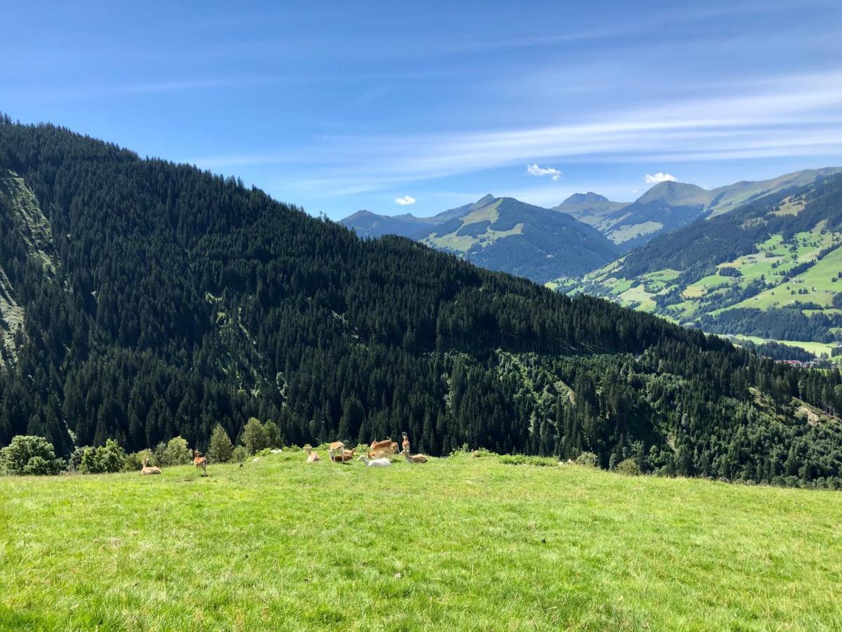 Haizelrock Kirchberg in Tirol Exteriör bild