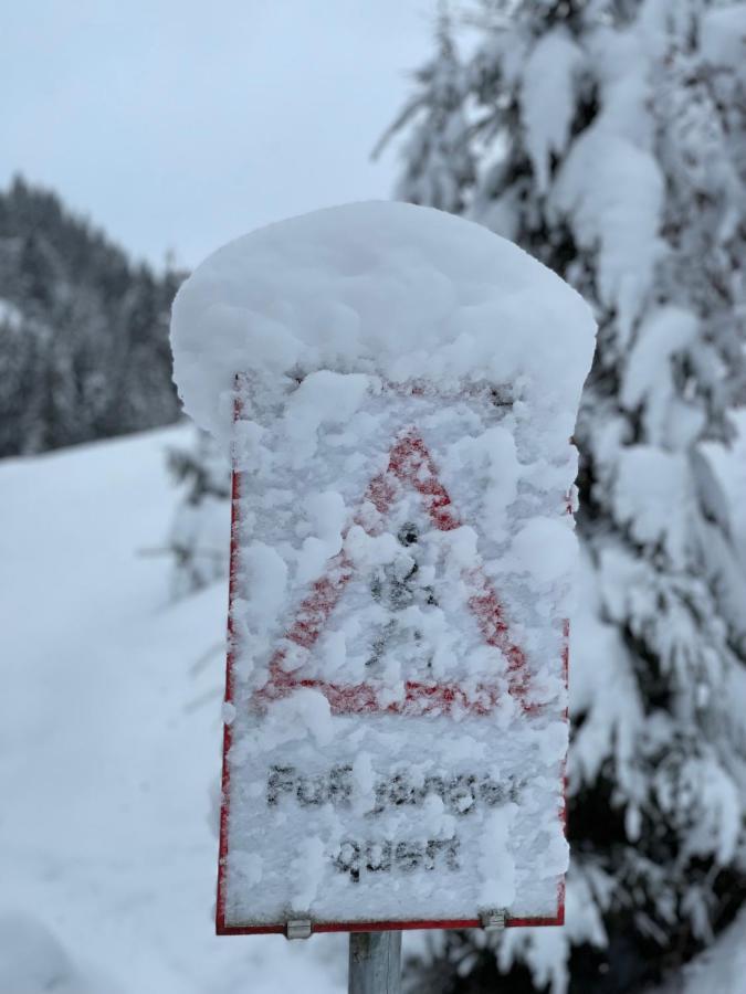 Haizelrock Kirchberg in Tirol Exteriör bild